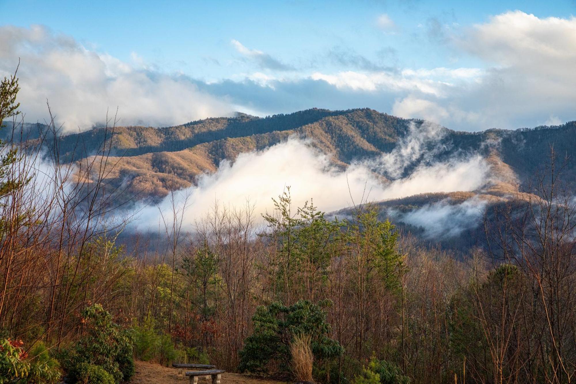 Real Log With Amazing Views, Hot Tub, Sauna, Games Ferienhaus Gatlinburg