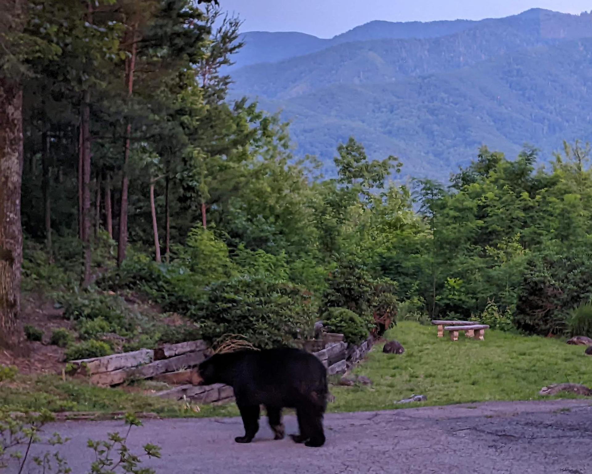 Ferienhaus Real Log With Amazing Views, Hot Tub, Sauna, Games Gatlinburg
